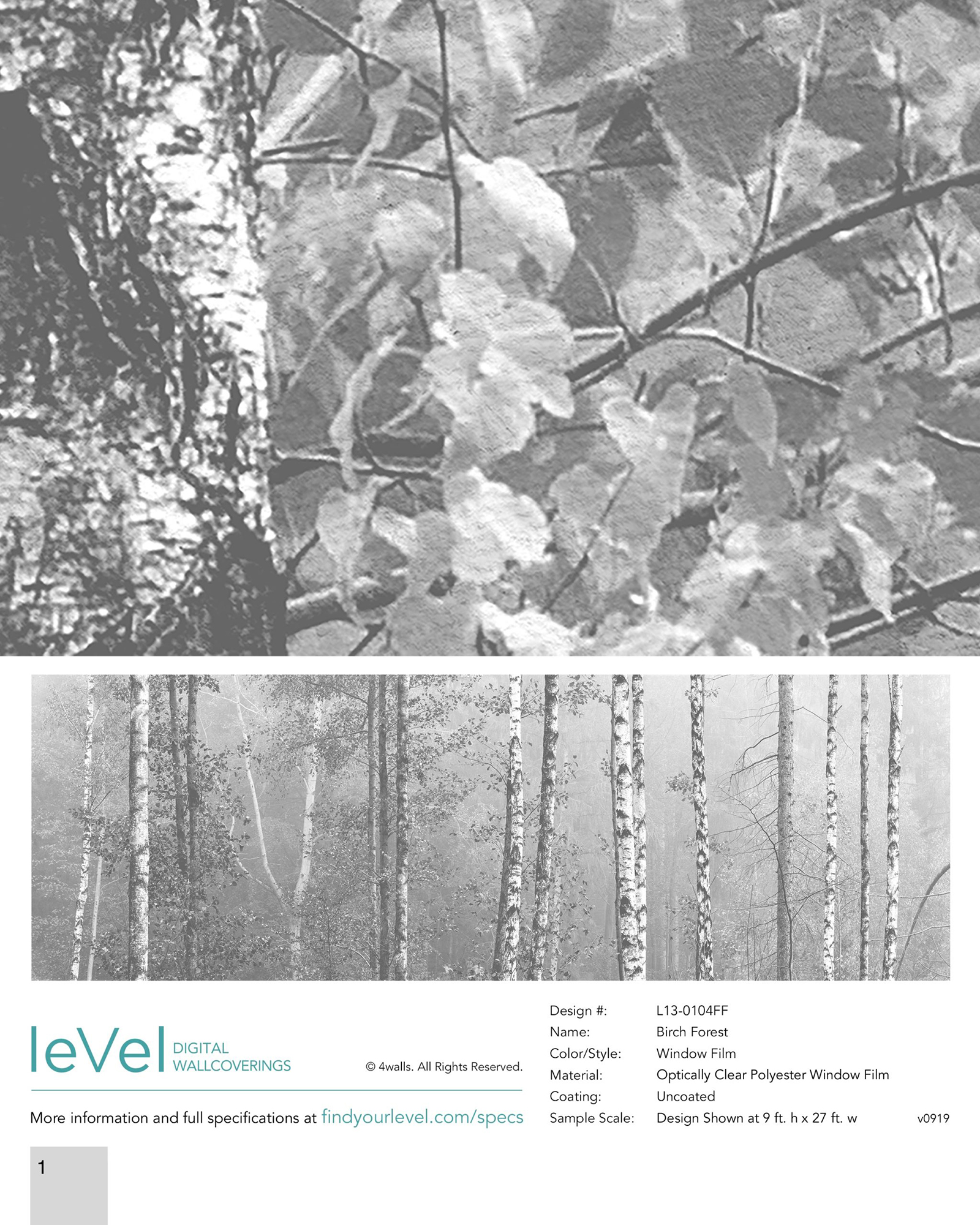 Birch Forest – Window Film – Level