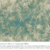 Bamboo Canopy - Teal - Image 3