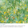 Healing Gardens - Daffodil - Image 3