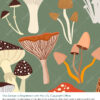 Magic Mushrooms - Sage - Image 2