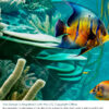 Under the Sea - Tropical Aqua - Image 2