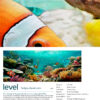 Under the Sea - Tropical Aqua - Image 4