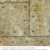 Riveting Pattern - Tarnished - Image 2